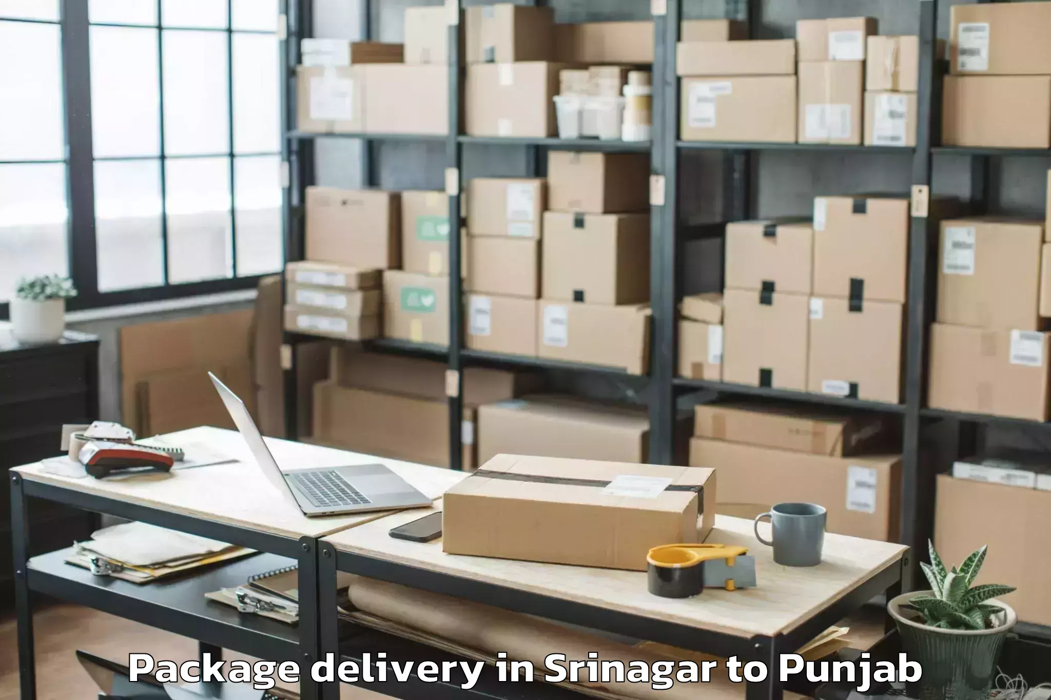 Affordable Srinagar to Mohali Package Delivery